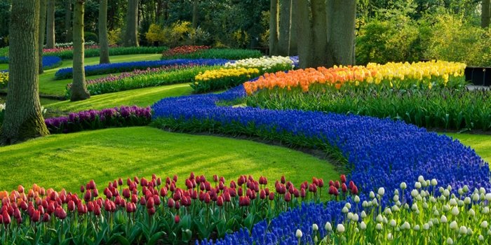 Prepare Your Landscaping for Spring!