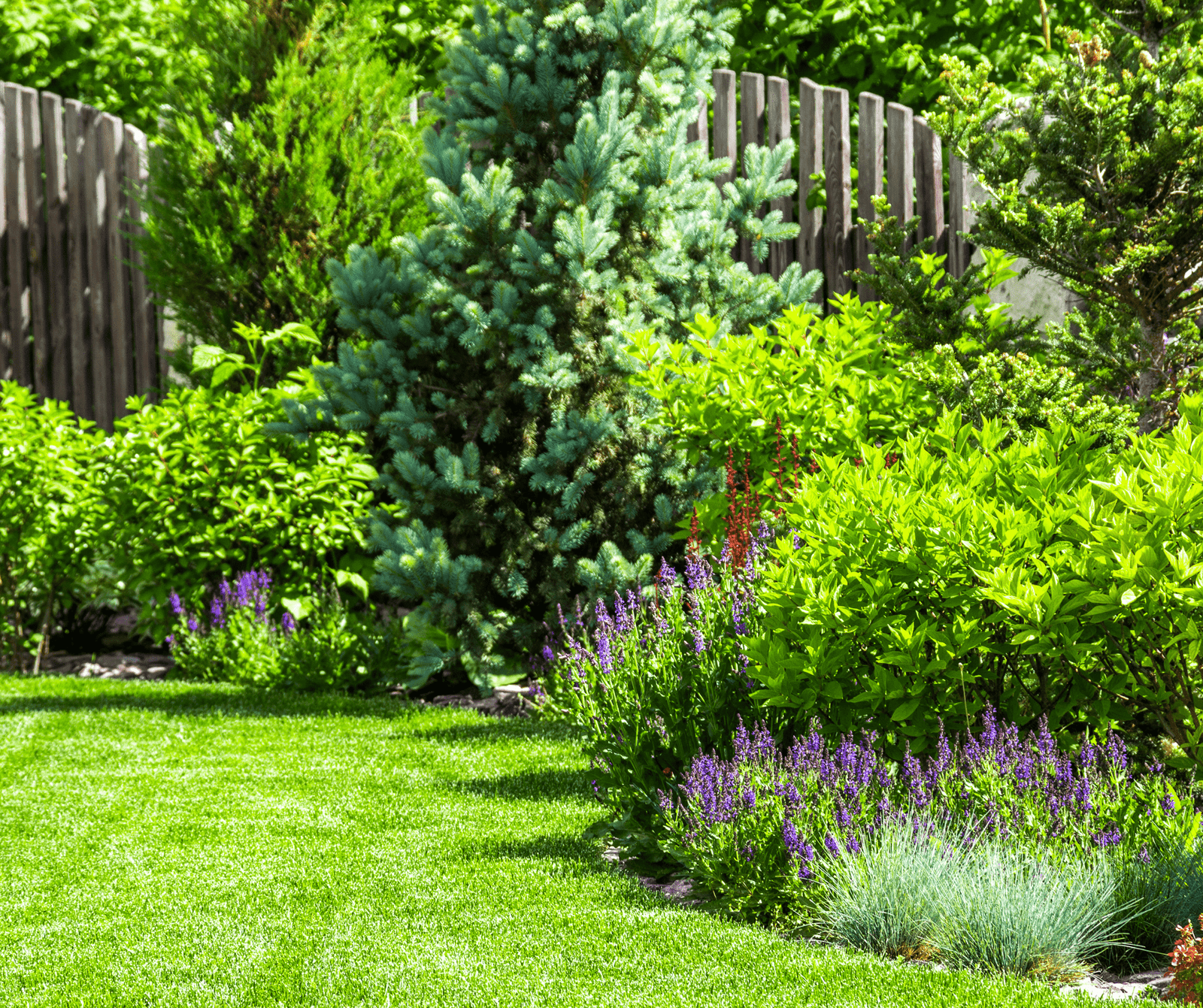 5-min Domestic Garden