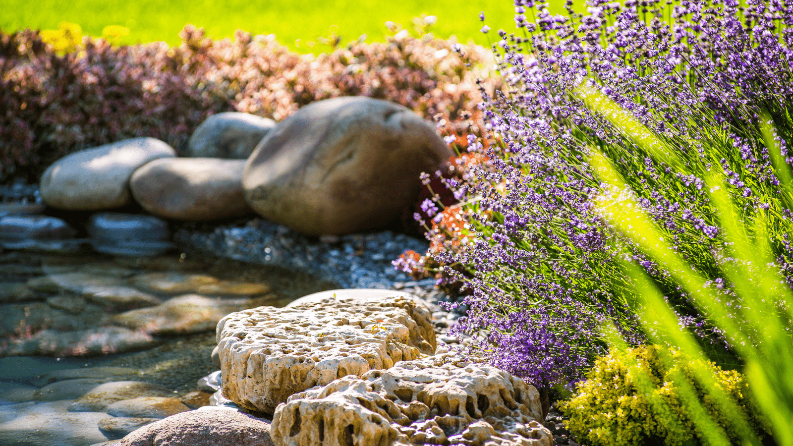 Untitled-design-8-min Domestic Garden